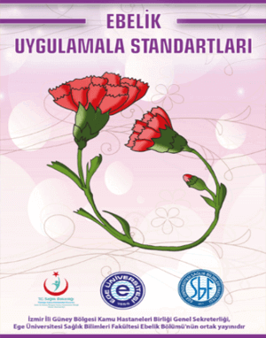 Ebelik Uygulama Standartları